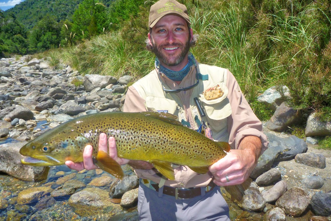 Wild brown trout @ Owen River Lodge